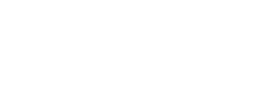 Meteion Logo